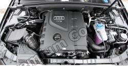 Photo Reference of Audi A4